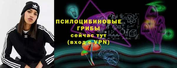 стаф Магас