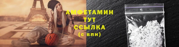 стаф Магас