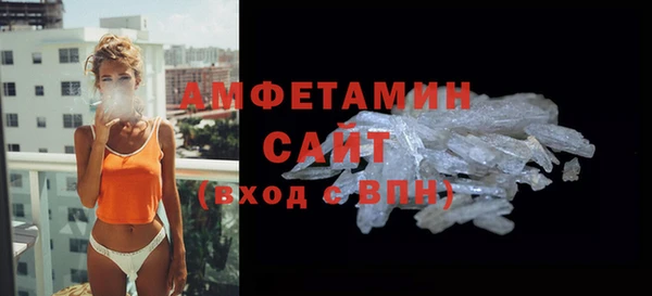 стаф Магас