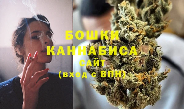 стаф Магас