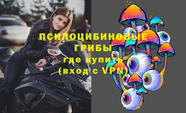 стаф Магас