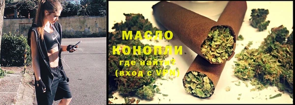 стаф Магас