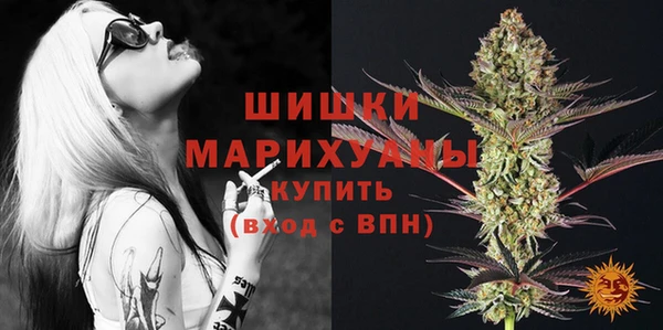стаф Магас