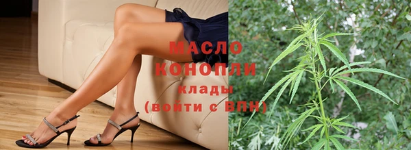 стаф Магас