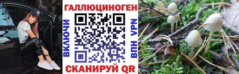 где купить наркоту сайты даркнета состав Галлюциногенные грибы прущие грибы Тихорецк
