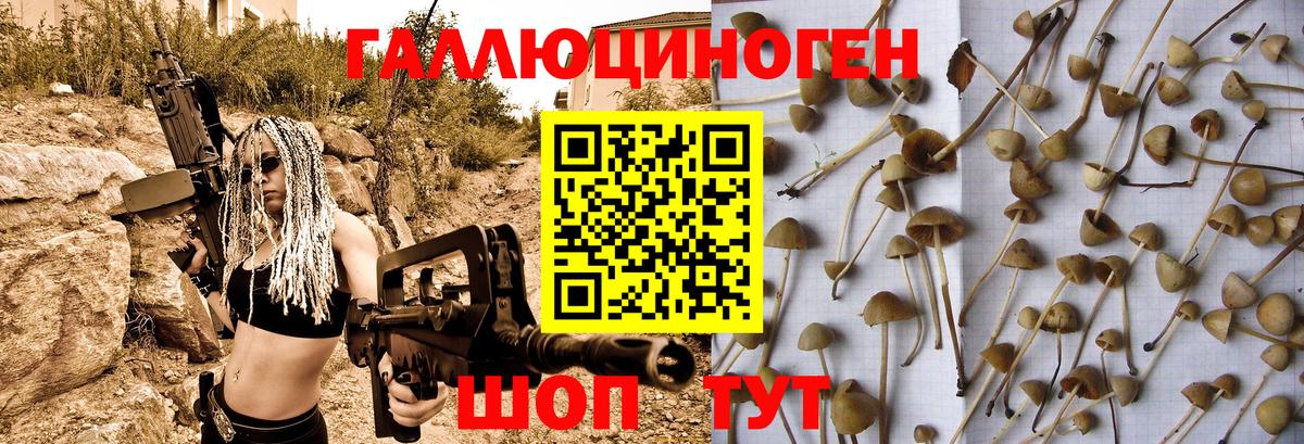 Псилоцибиновые грибы GOLDEN TEACHER Тихорецк