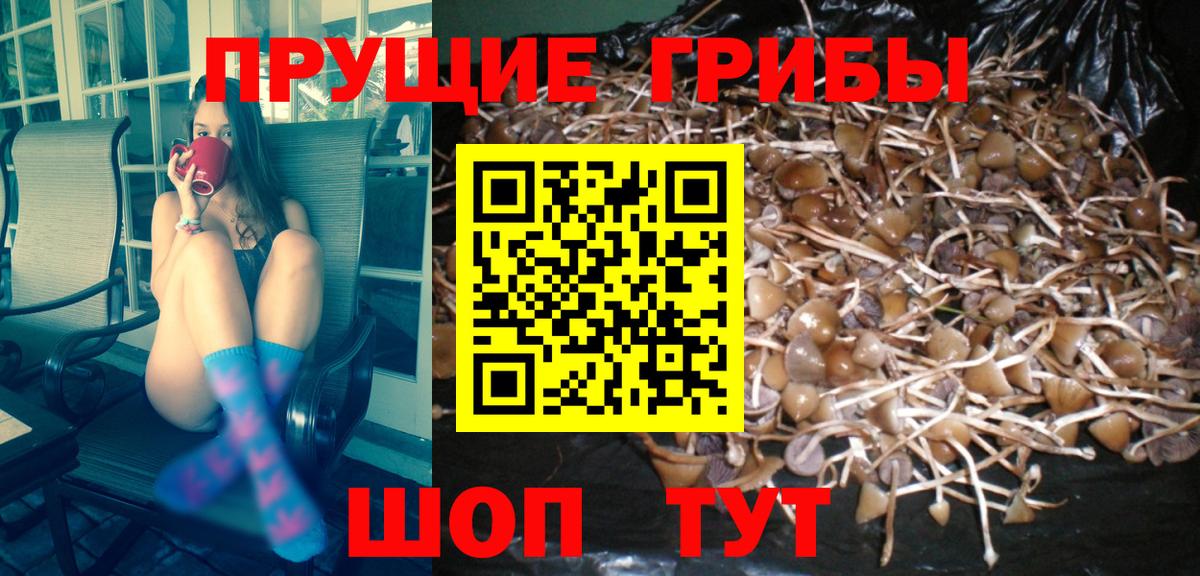Псилоцибиновые грибы MAGIC MUSHROOMS  Галлюциногенные грибы мухоморы  Вход с VPN  Тихорецк 