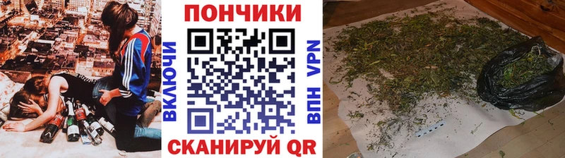 Бошки Шишки ГИДРОПОН  кракен   Тихорецк 